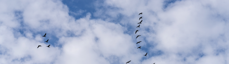 migrating IBM software to the azure cloud